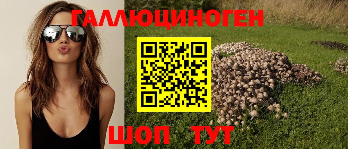 Псилоцибиновые грибы Magic Shrooms  Вход с VPN  Менделеевск 