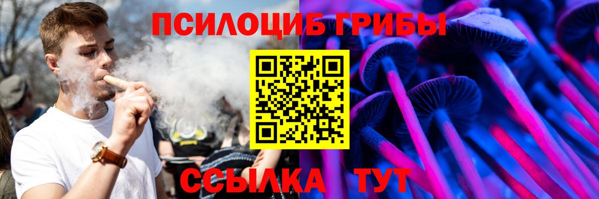 Галлюциногенные грибы мухоморы Менделеевск